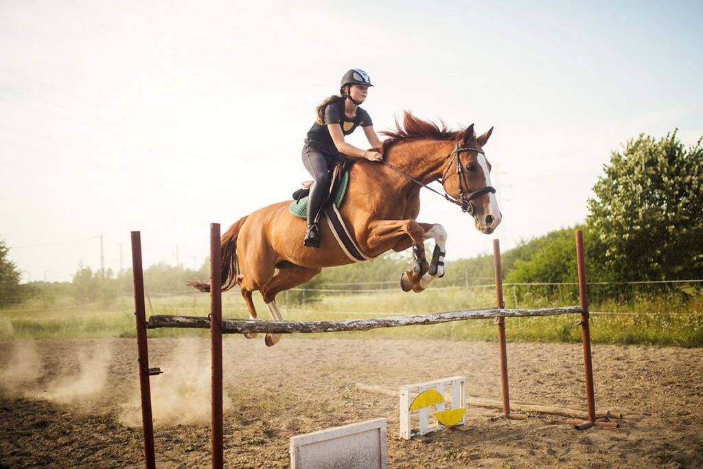 Excepteur sint occaecat cupidatat non proident